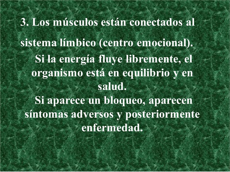 3. Los músculos están conectados al sistema límbico (centro emocional).