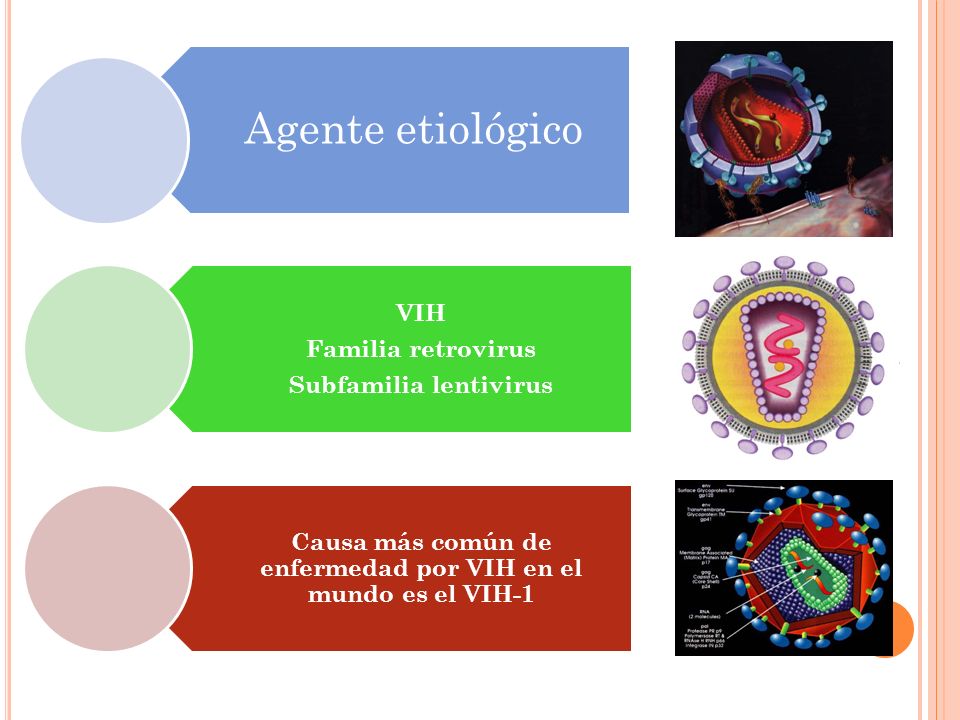 Agente etiológico VIH. Familia retrovirus. Subfamilia lentivirus. Causa más común de enfermedad por VIH en el mundo es el VIH-1.