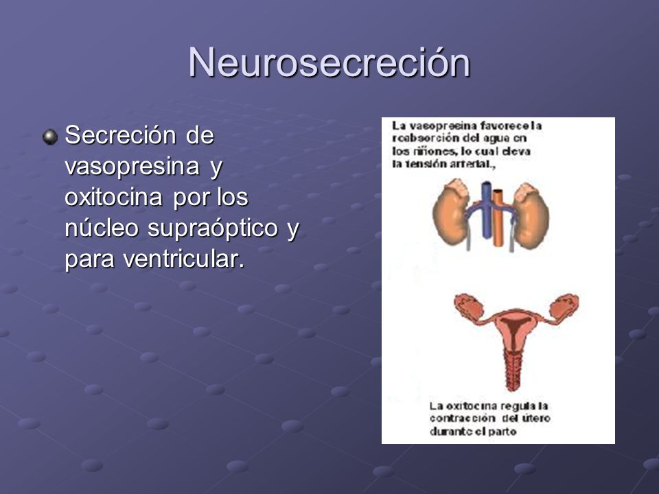 Neurosecreción Secreción de vasopresina y oxitocina por los núcleo supraóptico y para ventricular.