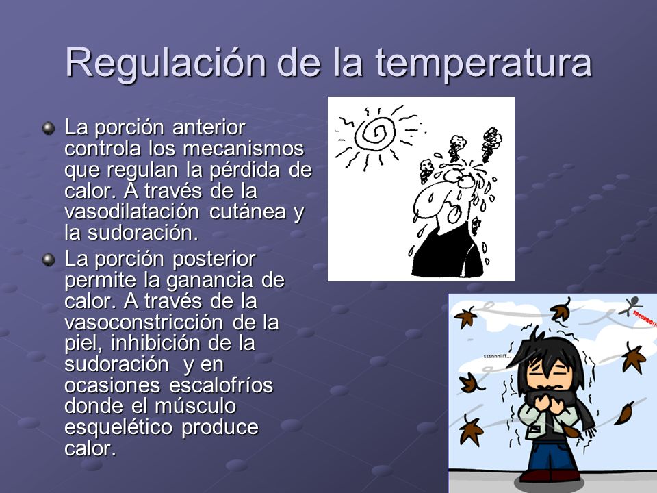 Regulación de la temperatura