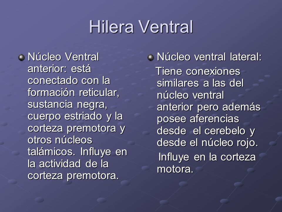 Hilera Ventral