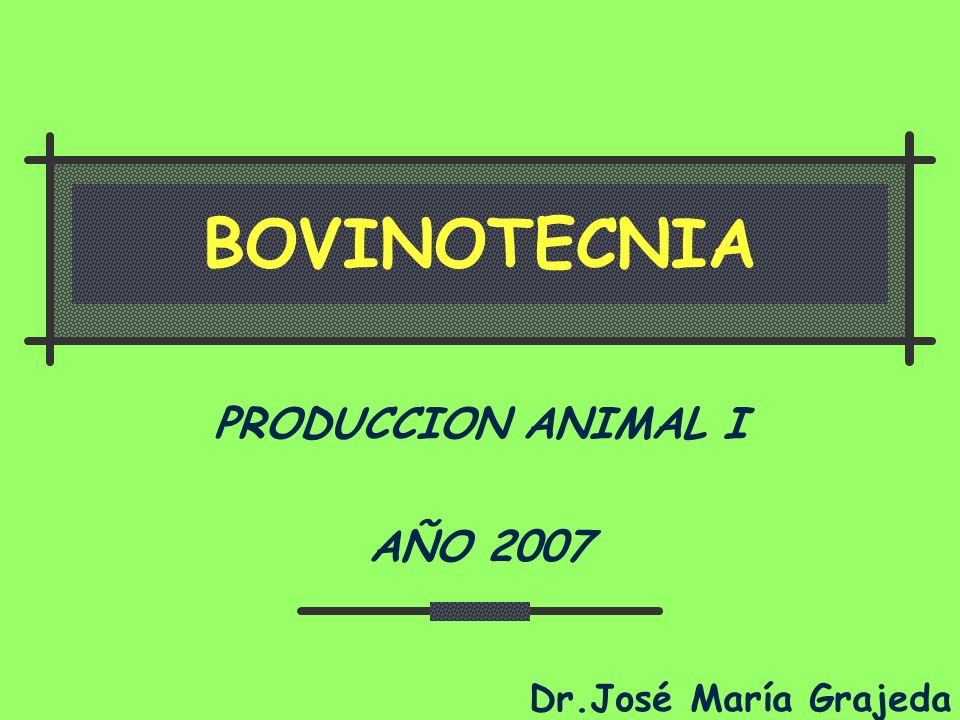 PRODUCCION ANIMAL I AÑO 2007
