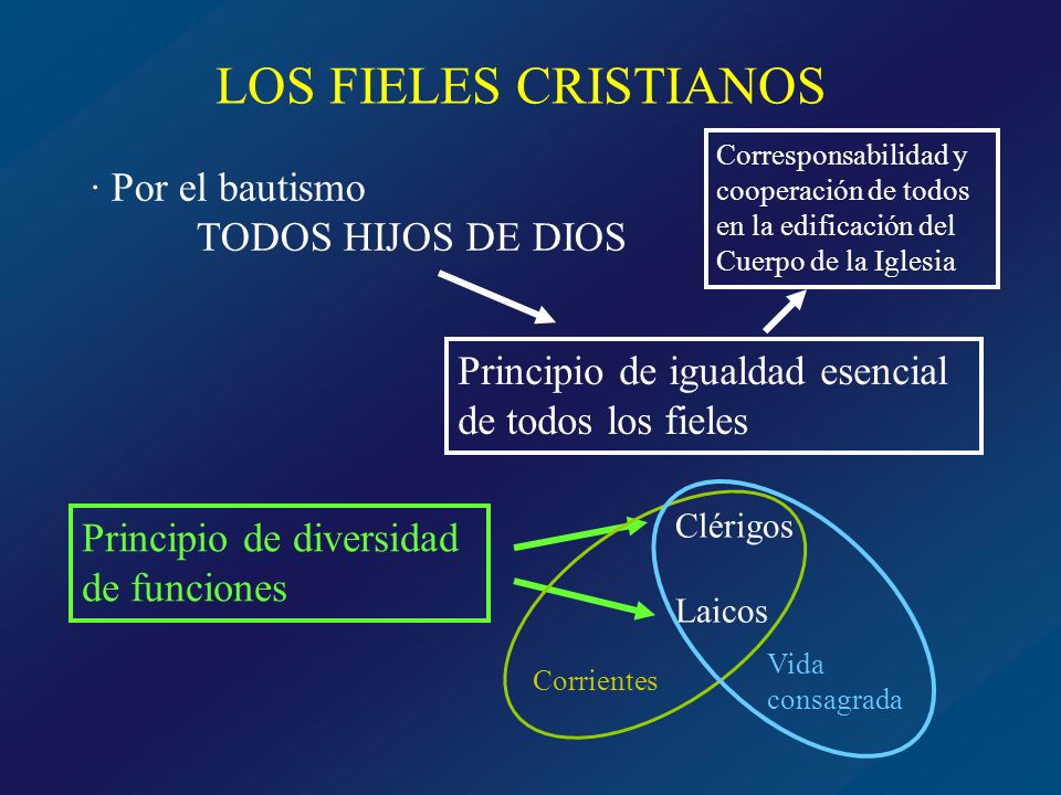 LOS FIELES CRISTIANOS · Por el bautismo TODOS HIJOS DE DIOS