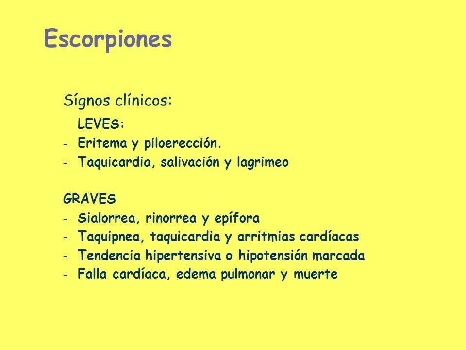 Escorpiones Sígnos clínicos: LEVES: Eritema y piloerección.