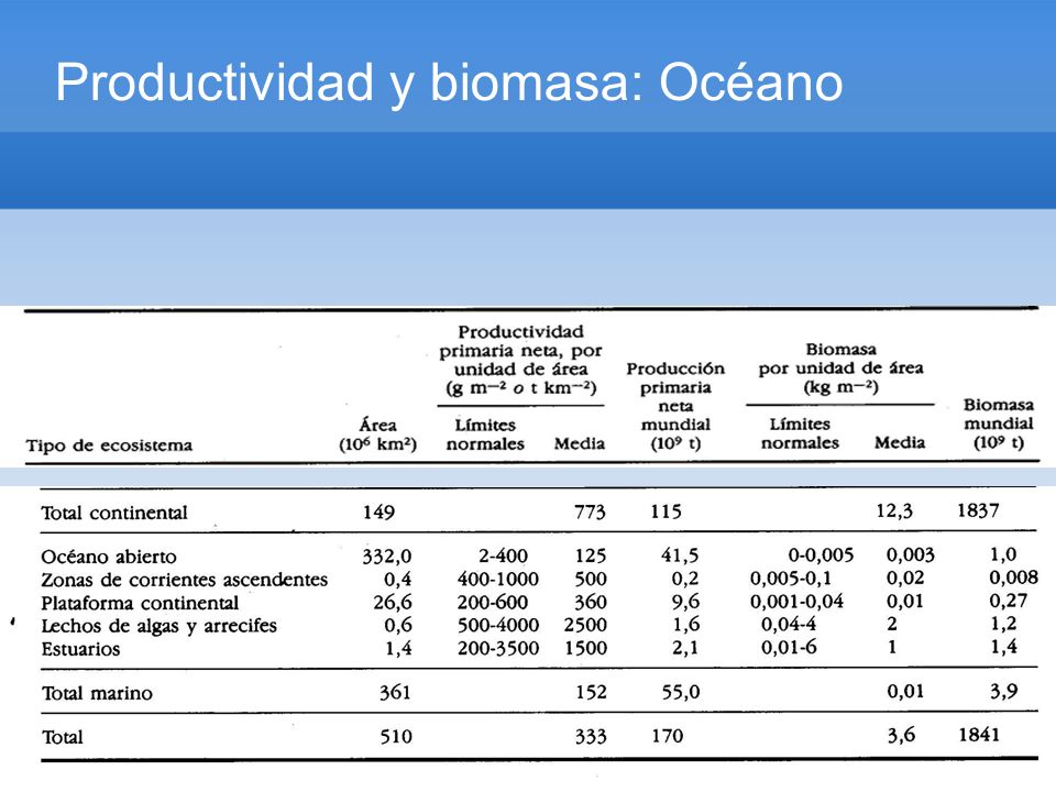 Productividad y biomasa: Océano