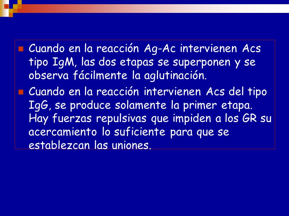 Cuando en la reacción Ag-Ac intervienen Acs tipo IgM, las dos etapas se superponen y se observa fácilmente la aglutinación.