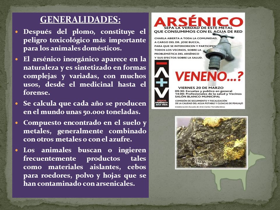 GENERALIDADES: Después del plomo, constituye el peligro toxicológico más importante para los animales domésticos.
