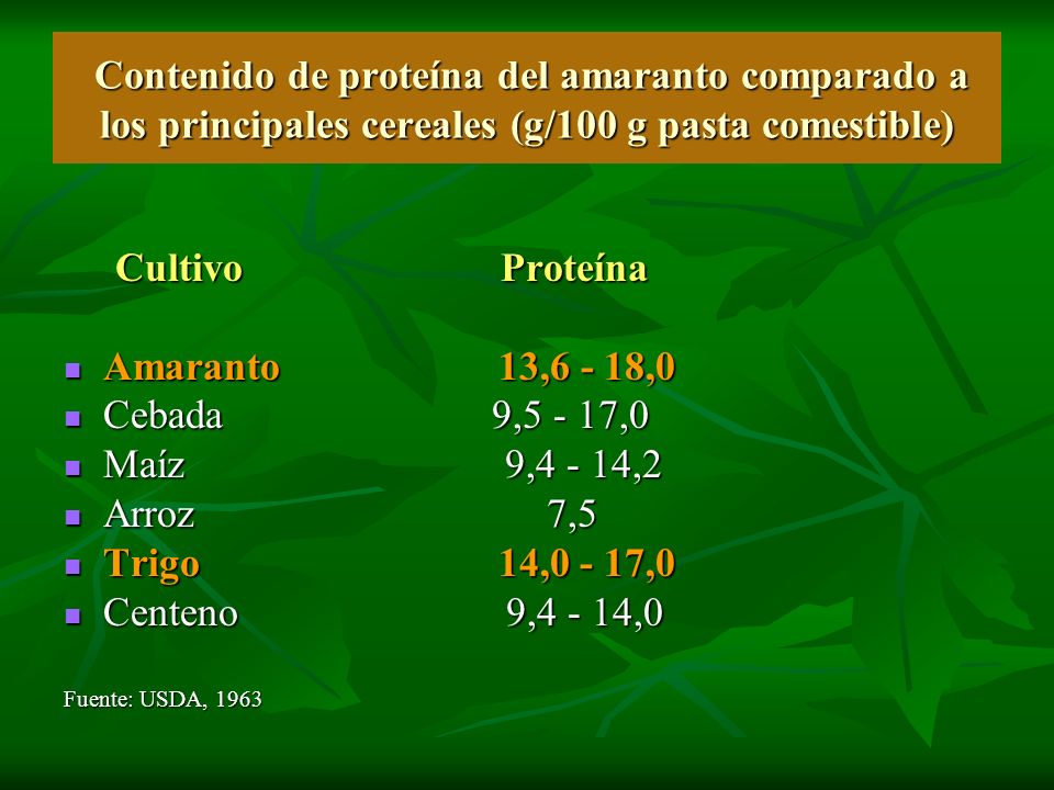 Contenido de proteína del amaranto comparado a los principales cereales (g/100 g pasta comestible)
