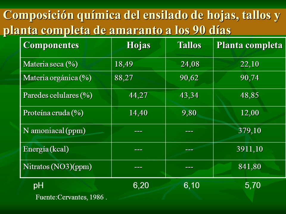 Composición química del ensilado de hojas, tallos y planta completa de amaranto a los 90 días