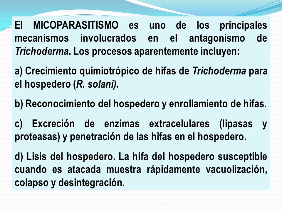 El MICOPARASITISMO es uno de los principales mecanismos involucrados en el antagonismo de Trichoderma. Los procesos aparentemente incluyen: