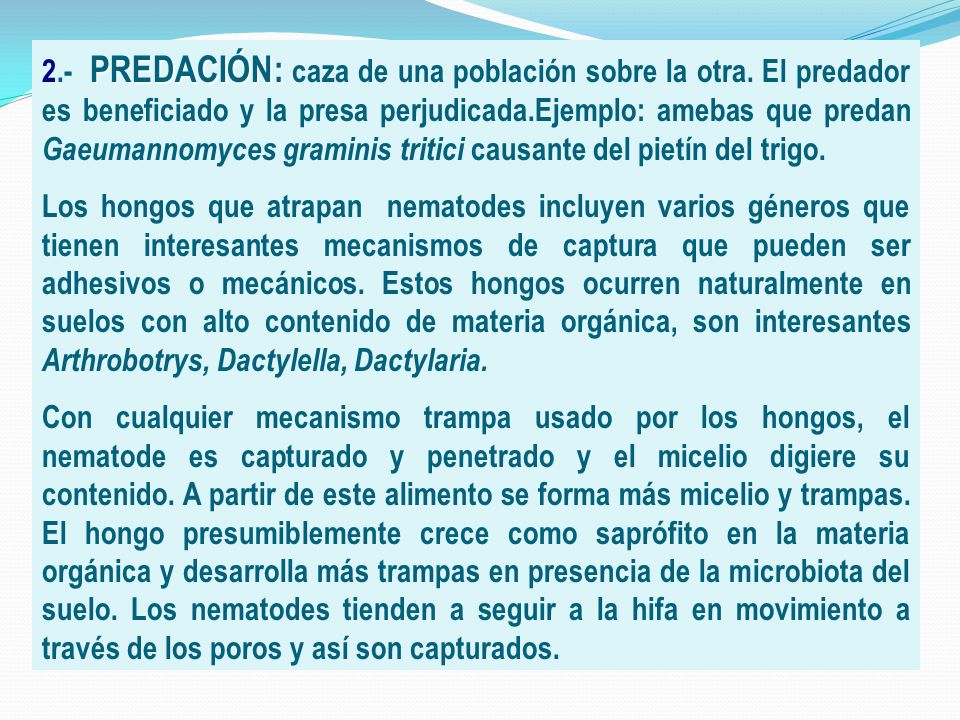 2. - PREDACIÓN: caza de una población sobre la otra