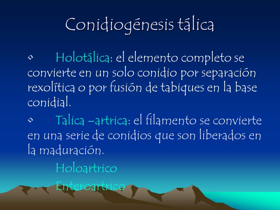 Conidiogénesis tálica