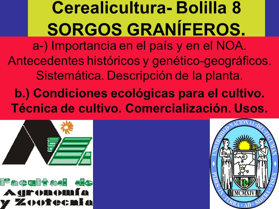 Cerealicultura- Bolilla 8 SORGOS GRANÍFEROS.