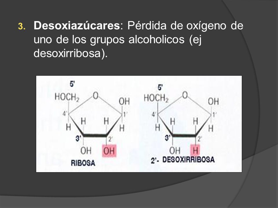 Desoxiazúcares: Pérdida de oxígeno de uno de los grupos alcoholicos (ej desoxirribosa).