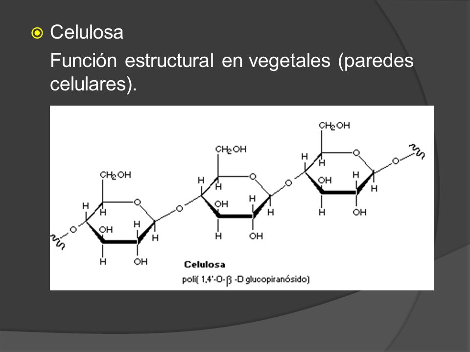 Celulosa Función estructural en vegetales (paredes celulares).