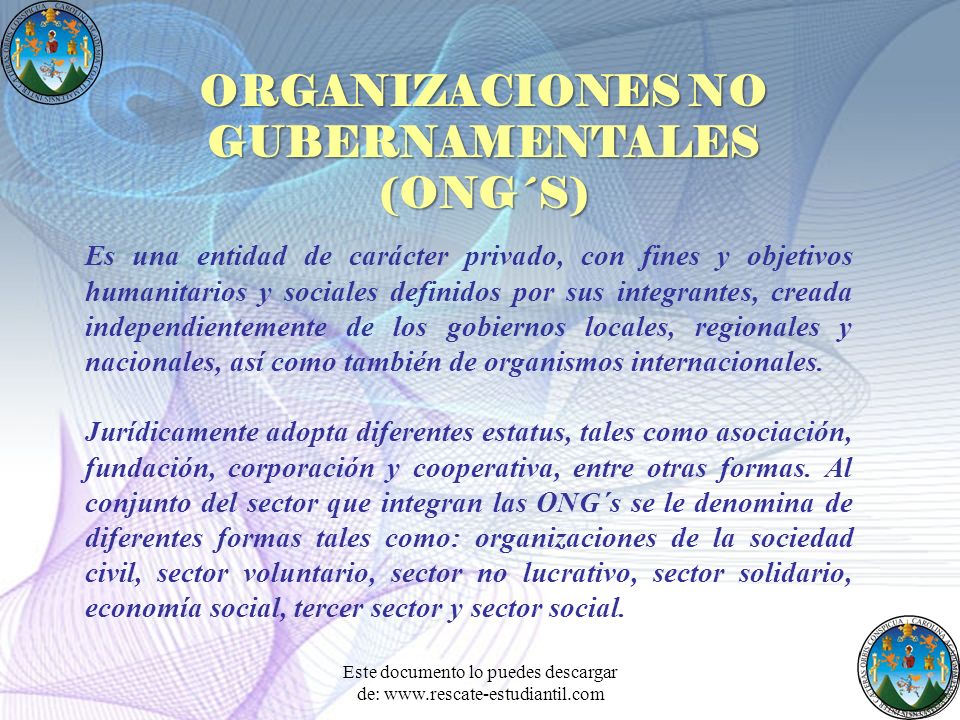 ORGANIZACIONES NO GUBERNAMENTALES (ONG´S)