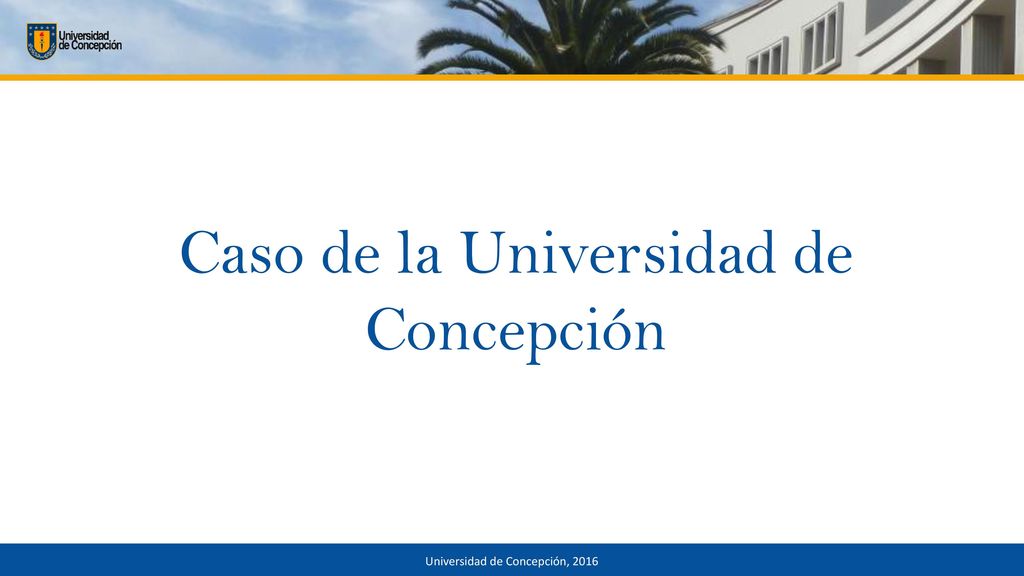 Caso de la Universidad de Concepción