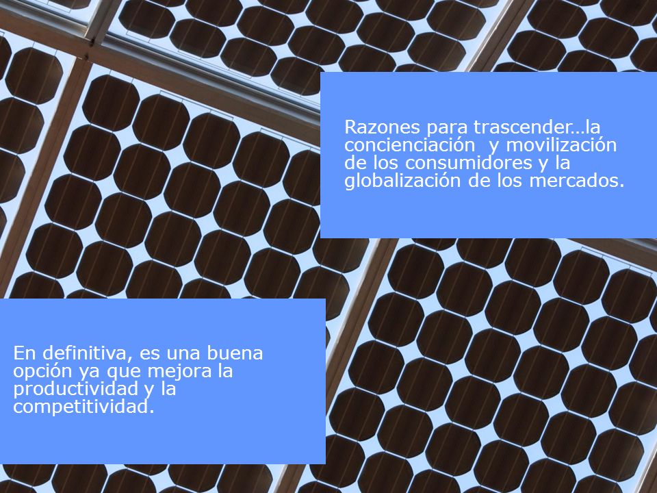 Razones para trascender…la concienciación y movilización de los consumidores y la globalización de los mercados.