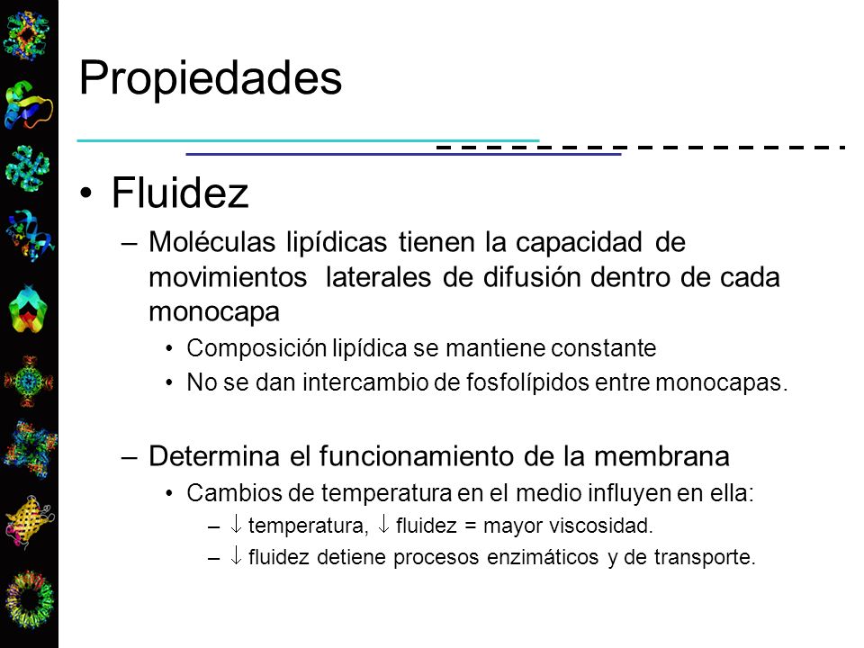 Propiedades Fluidez. Moléculas lipídicas tienen la capacidad de movimientos laterales de difusión dentro de cada monocapa.