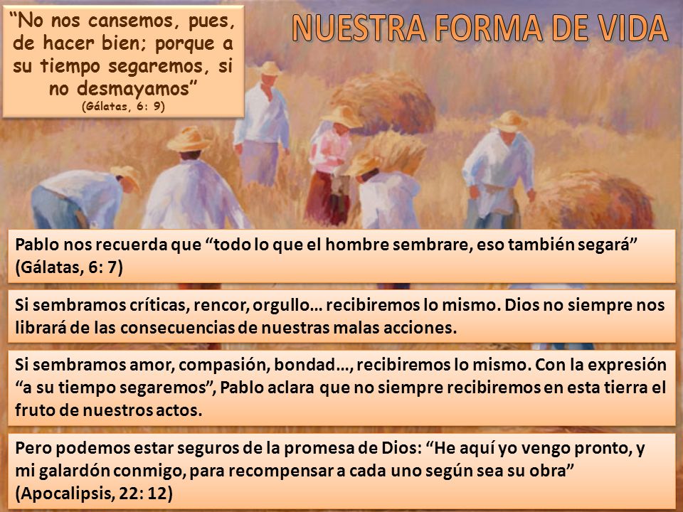 No nos cansemos, pues, de hacer bien; porque a su tiempo segaremos, si no desmayamos
