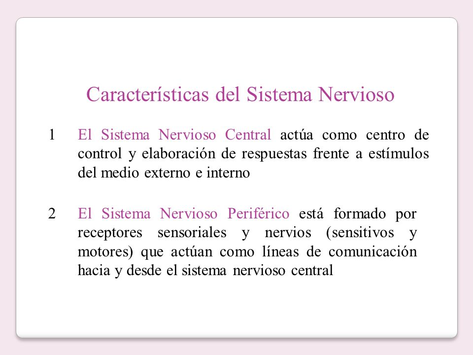 Características del Sistema Nervioso