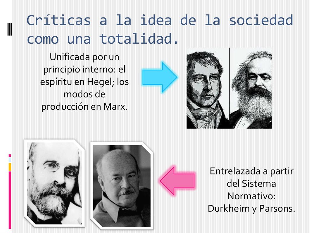 Críticas a la idea de la sociedad como una totalidad.