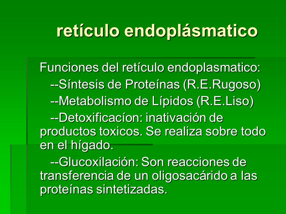 retículo endoplásmatico