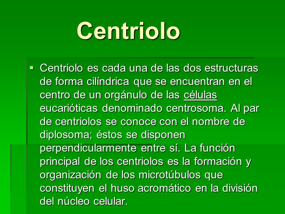 Centriolo