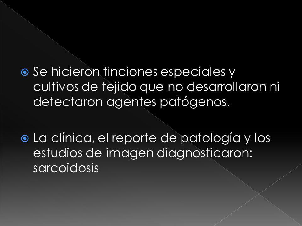 Se hicieron tinciones especiales y cultivos de tejido que no desarrollaron ni detectaron agentes patógenos.