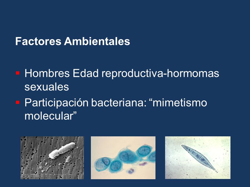 Factores Ambientales Hombres Edad reproductiva-hormomas sexuales.