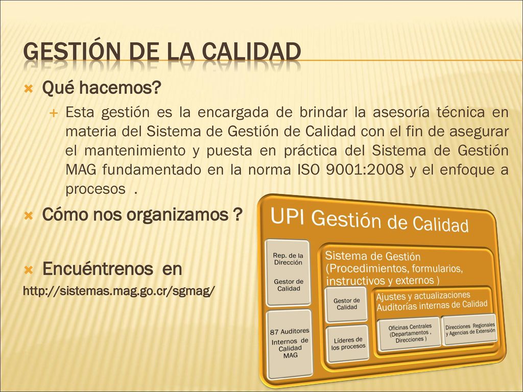 Gestión de la calidad UPI Gestión de Calidad Qué hacemos