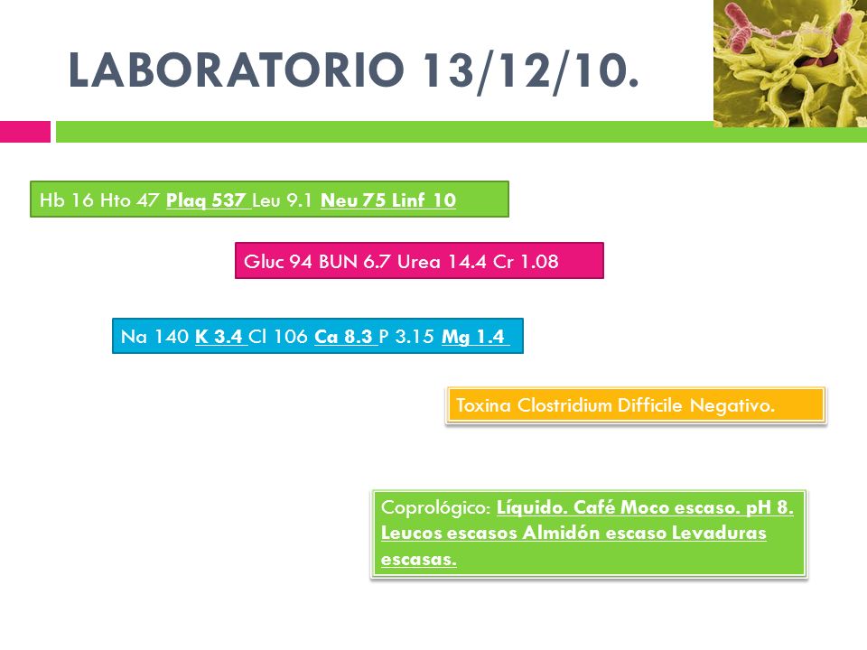 LABORATORIO 13/12/10. Hb 16 Hto 47 Plaq 537 Leu 9.1 Neu 75 Linf 10