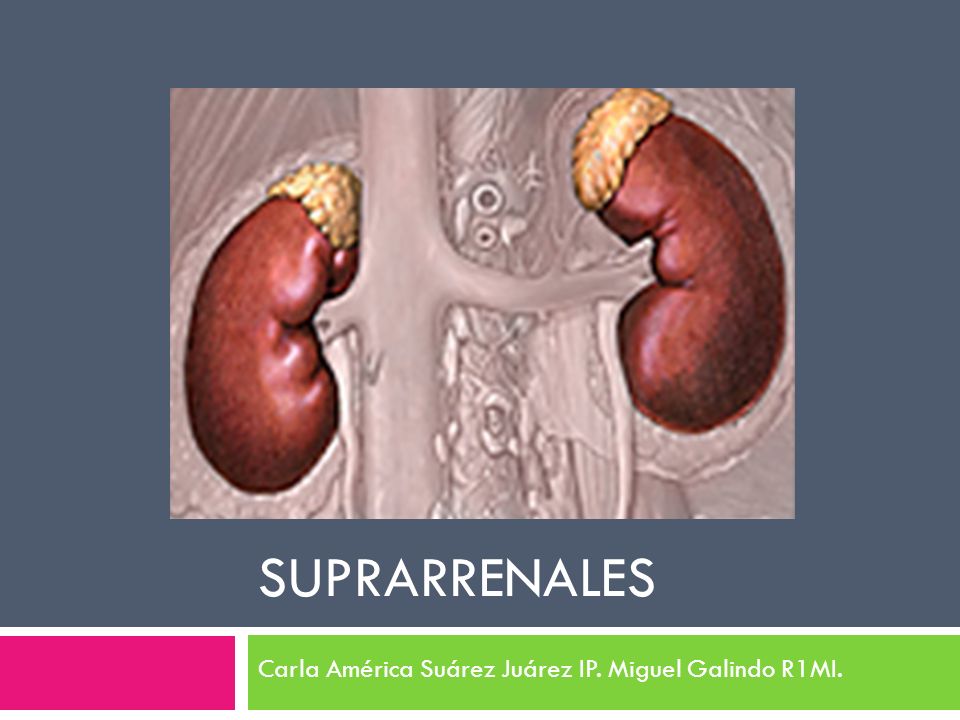 Carla América Suárez Juárez IP. Miguel Galindo R1MI.