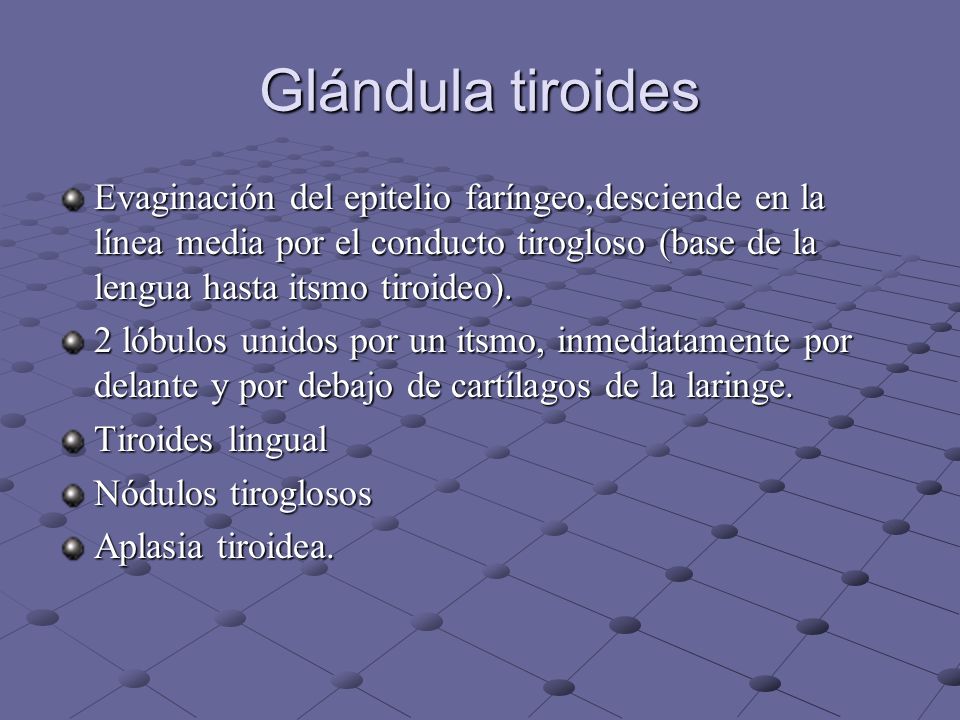 Glándula tiroides Evaginación del epitelio faríngeo,desciende en la línea media por el conducto tirogloso (base de la lengua hasta itsmo tiroideo).