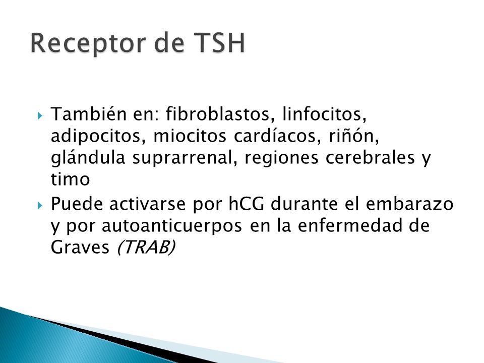 Receptor de TSH También en: fibroblastos, linfocitos, adipocitos, miocitos cardíacos, riñón, glándula suprarrenal, regiones cerebrales y timo.