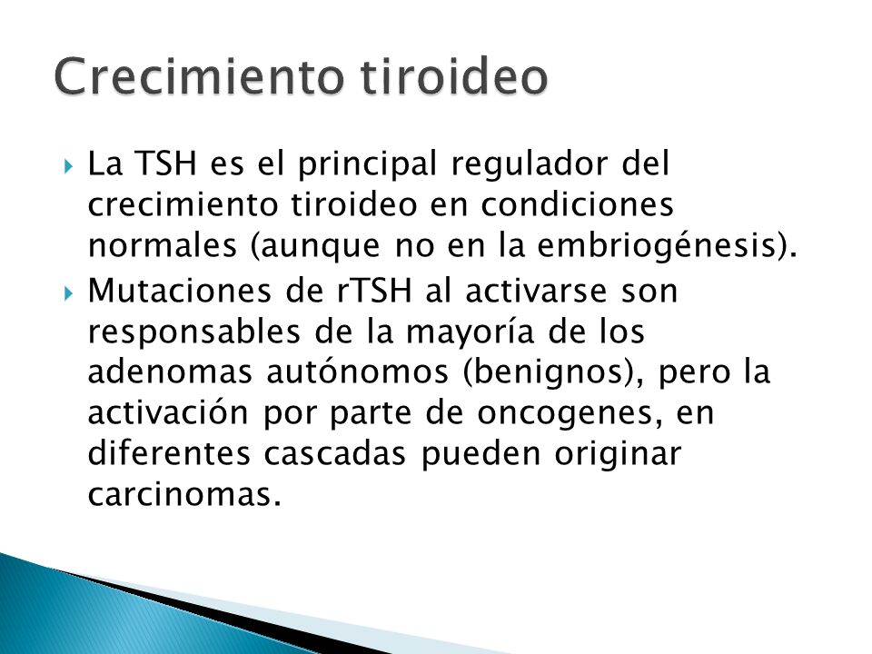 Crecimiento tiroideo La TSH es el principal regulador del crecimiento tiroideo en condiciones normales (aunque no en la embriogénesis).
