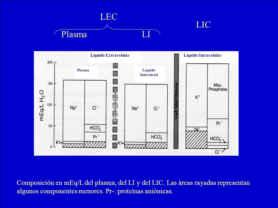 LEC LIC. Plasma. LI. Líquido Extracelular. Líquido Intracelular. Plasma. Líquido. Intersticial.