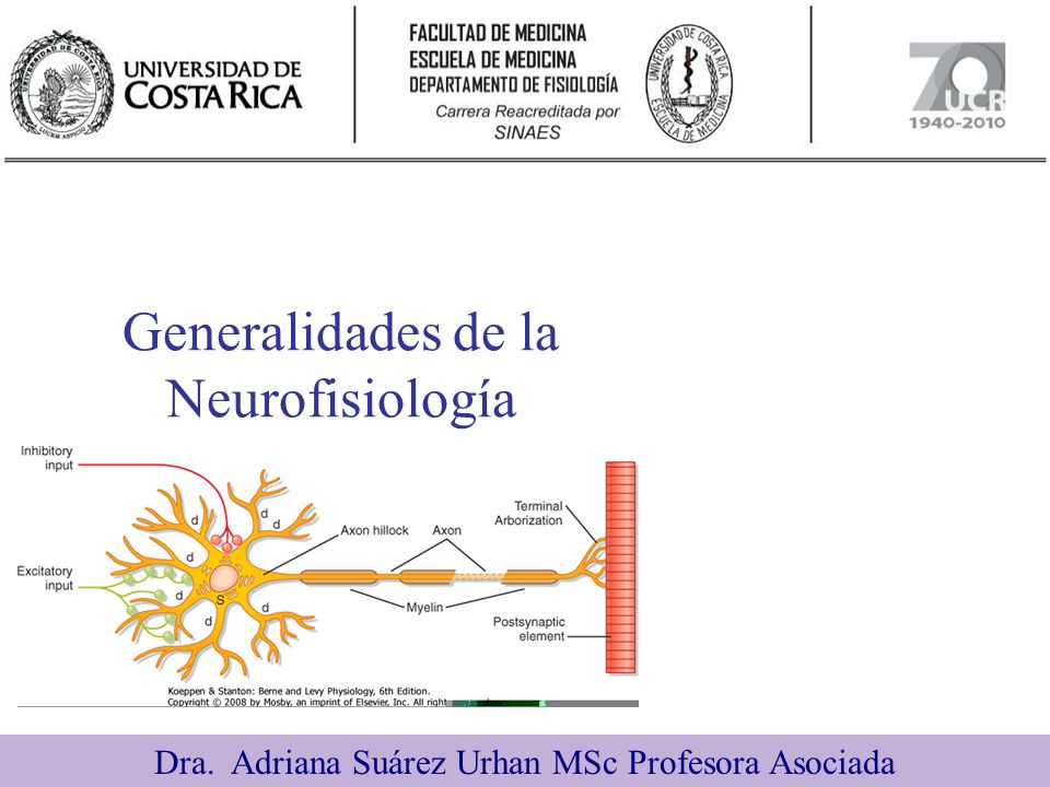 Generalidades de la Neurofisiología