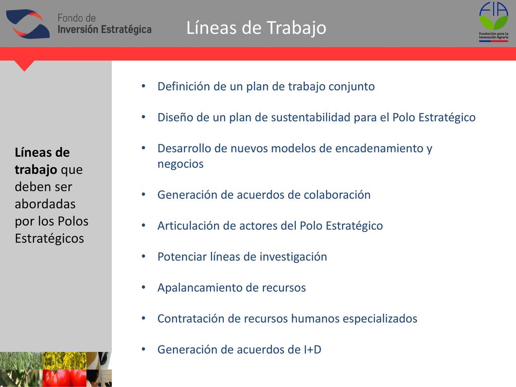 Líneas de Trabajo Definición de un plan de trabajo conjunto. Diseño de un plan de sustentabilidad para el Polo Estratégico.
