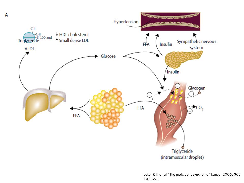 A: Free fatty acids (FFA) are released in abundance from an expanded adipose tissue mass. In the liver, FFA produce