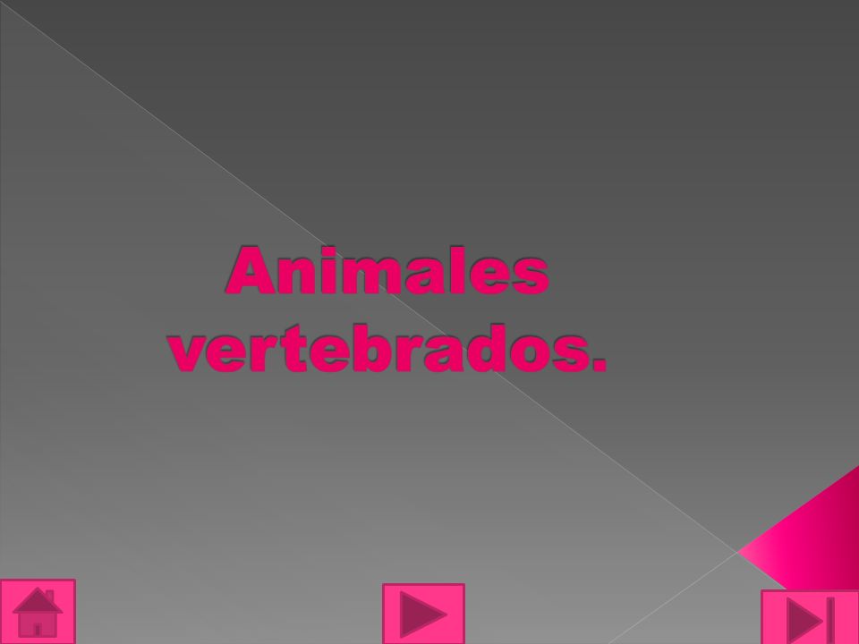 Animales vertebrados.