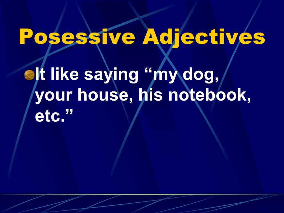 Posessive Adjectives It like saying my dog, your house, his notebook, etc.