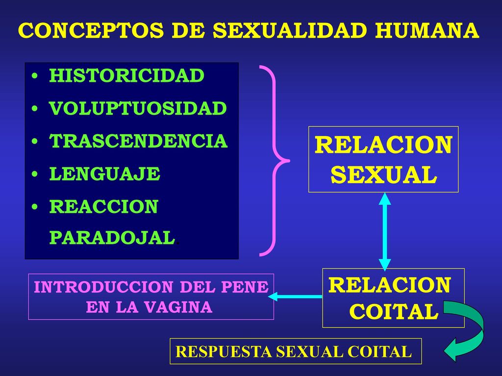 RELACION SEXUAL CONCEPTOS DE SEXUALIDAD HUMANA RELACION COITAL