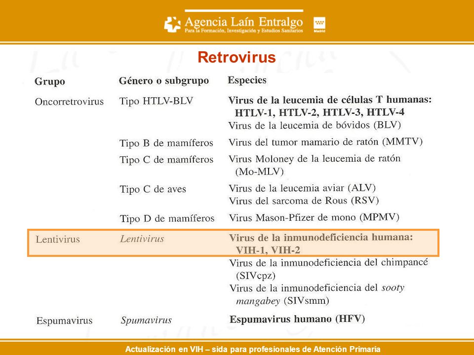 Retrovirus Inicialmente htlv III por Albert Gallo, se confirmó que era lentivirus en 1983