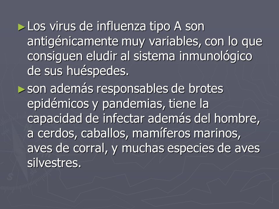 Los virus de influenza tipo A son antigénicamente muy variables, con lo que consiguen eludir al sistema inmunológico de sus huéspedes.