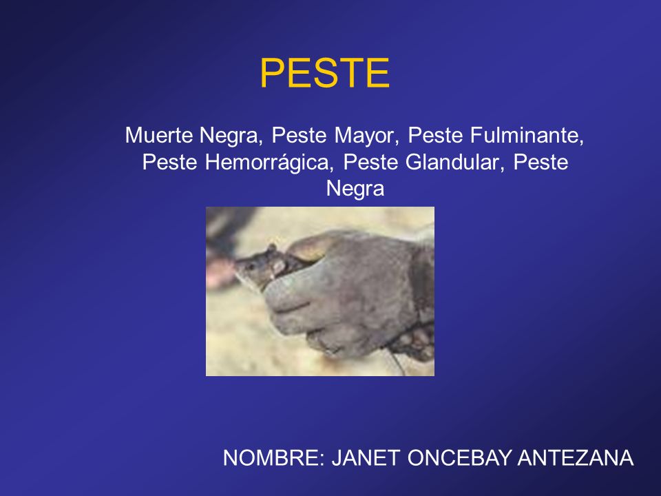 PESTE Muerte Negra, Peste Mayor, Peste Fulminante, Peste Hemorrágica, Peste Glandular, Peste Negra.