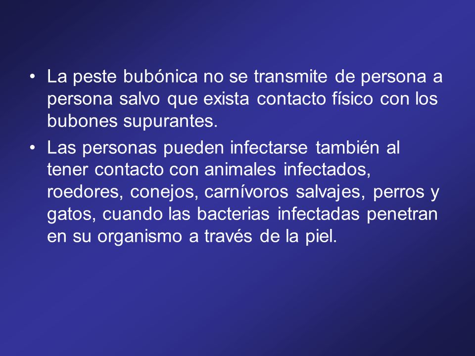 La peste bubónica no se transmite de persona a persona salvo que exista contacto físico con los bubones supurantes.