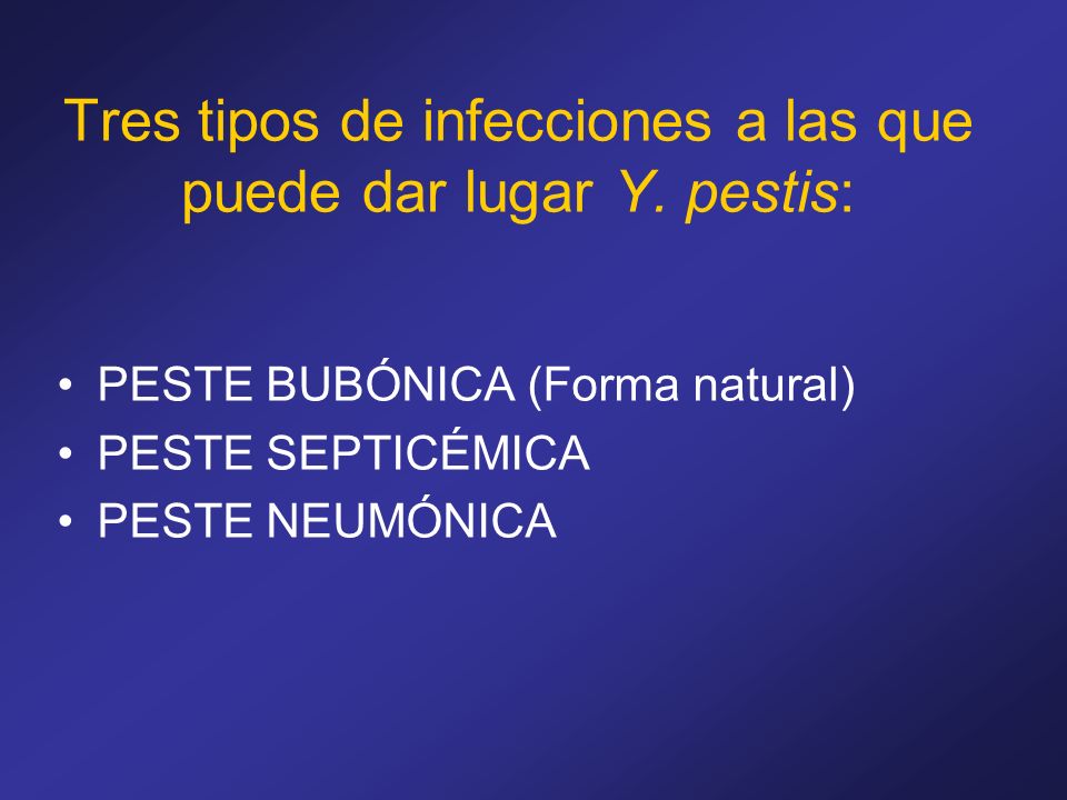 Tres tipos de infecciones a las que puede dar lugar Y. pestis: