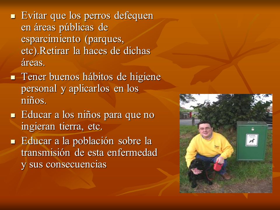 Evitar que los perros defequen en áreas públicas de esparcimiento (parques, etc).Retirar la haces de dichas áreas.