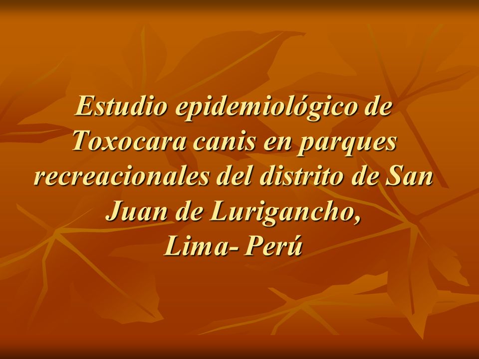 Estudio epidemiológico de Toxocara canis en parques recreacionales del distrito de San Juan de Lurigancho, Lima- Perú